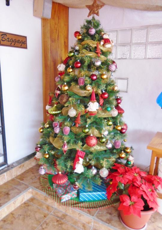 Hotel Pelican Bay Puerto Ayora  Zewnętrze zdjęcie