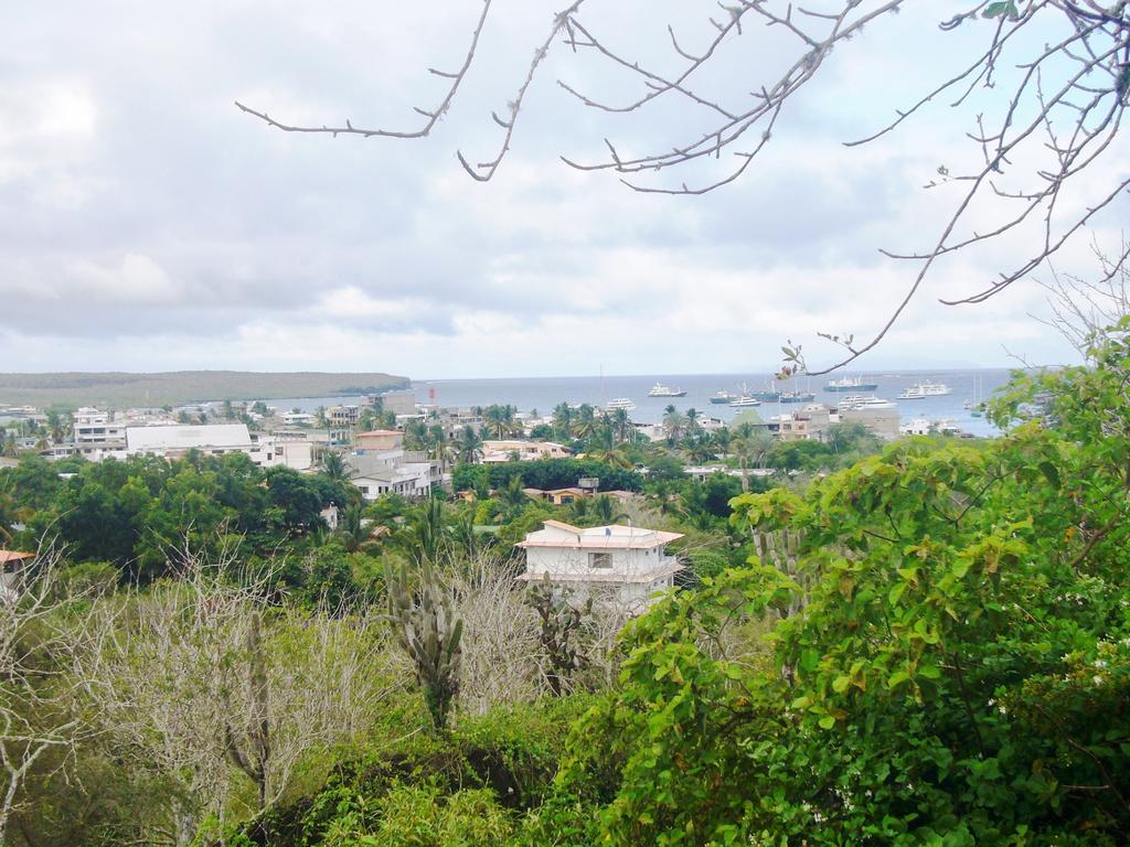 Hotel Pelican Bay Puerto Ayora  Zewnętrze zdjęcie
