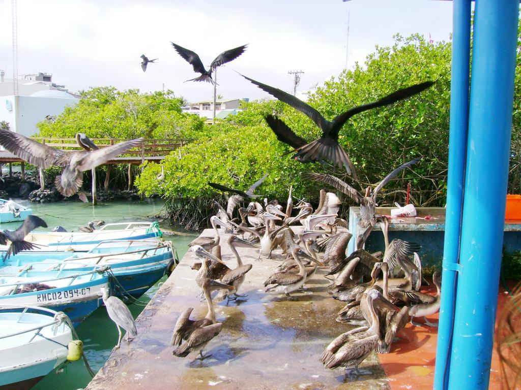 Hotel Pelican Bay Puerto Ayora  Zewnętrze zdjęcie